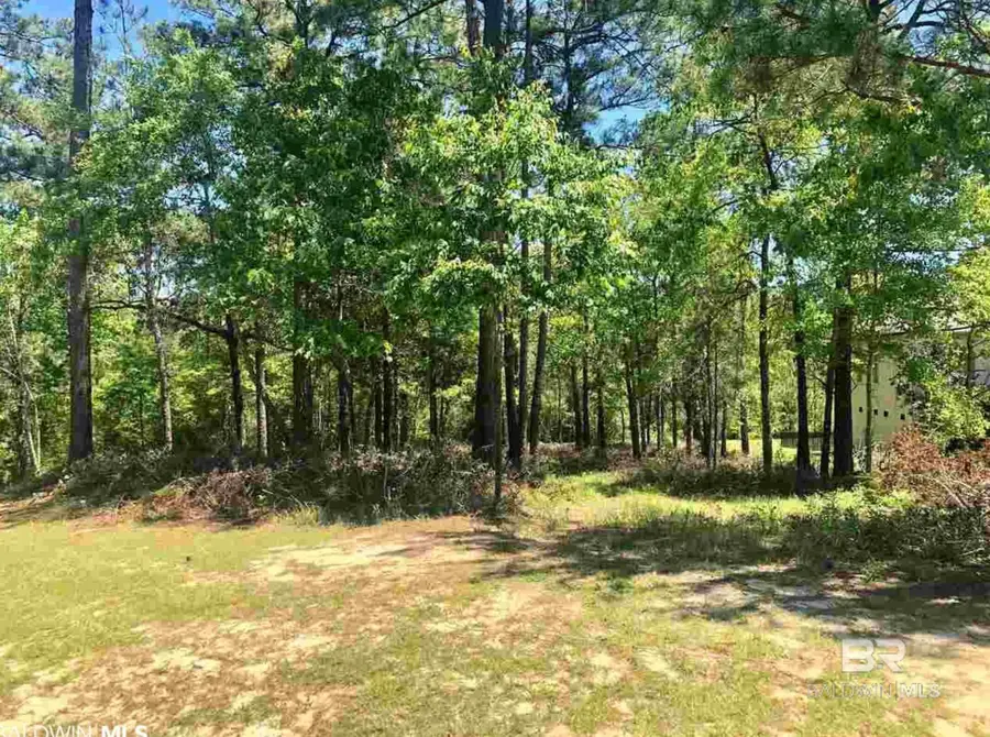 0 Boardwalk Drive, Daphne, AL 36527 - #3