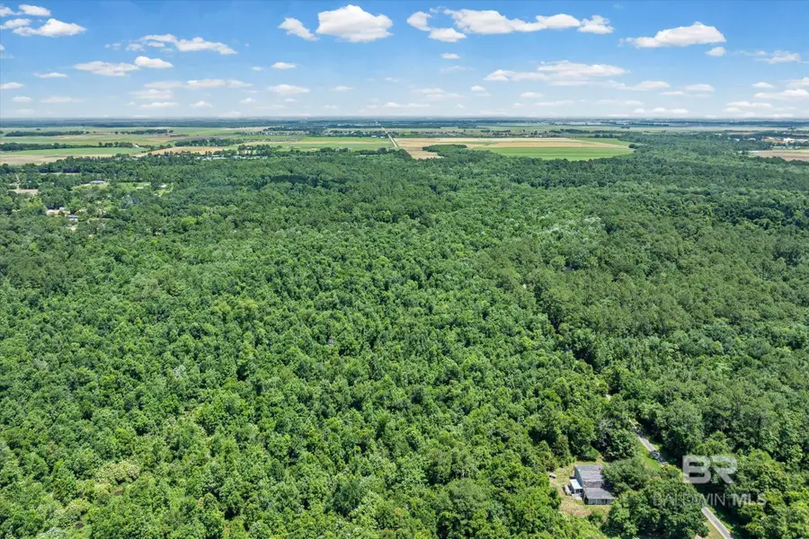 0 Newberry Lane, Foley, AL 36535 - #3