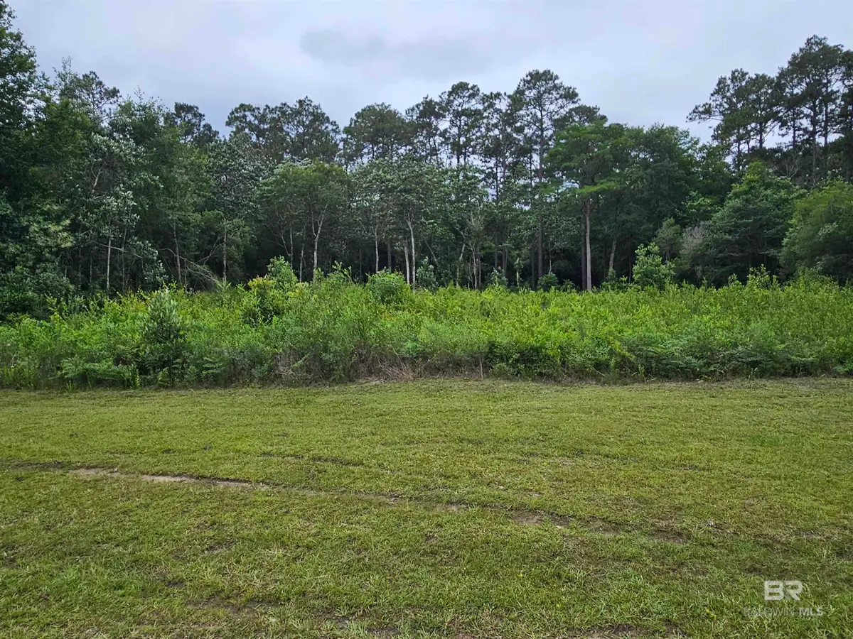 0 Deerfield Drive, Irvington, AL 36582 - #1