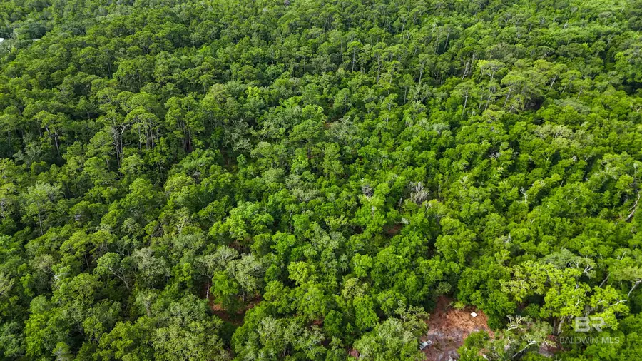 0 Old Fort Morgan Trail, Gulf Shores, AL 36542 - #3