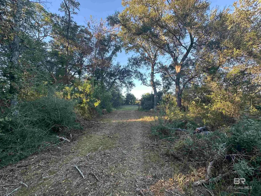 0 Benton Road, Foley, AL 36535 - #2