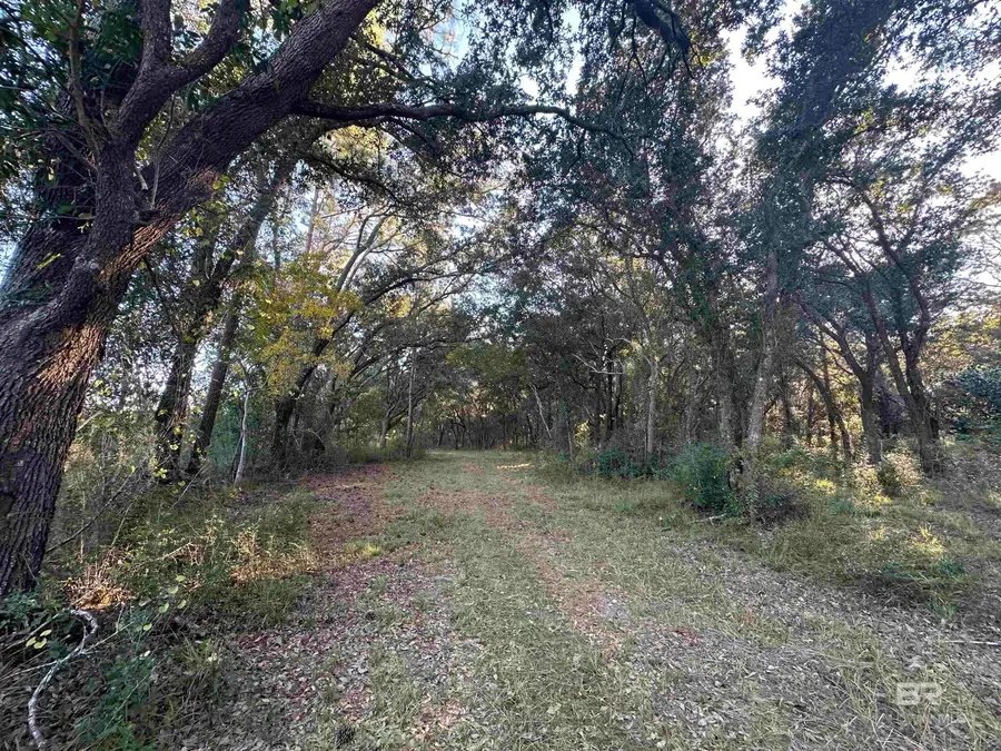 0 Benton Road, Foley, AL 36535 - #3