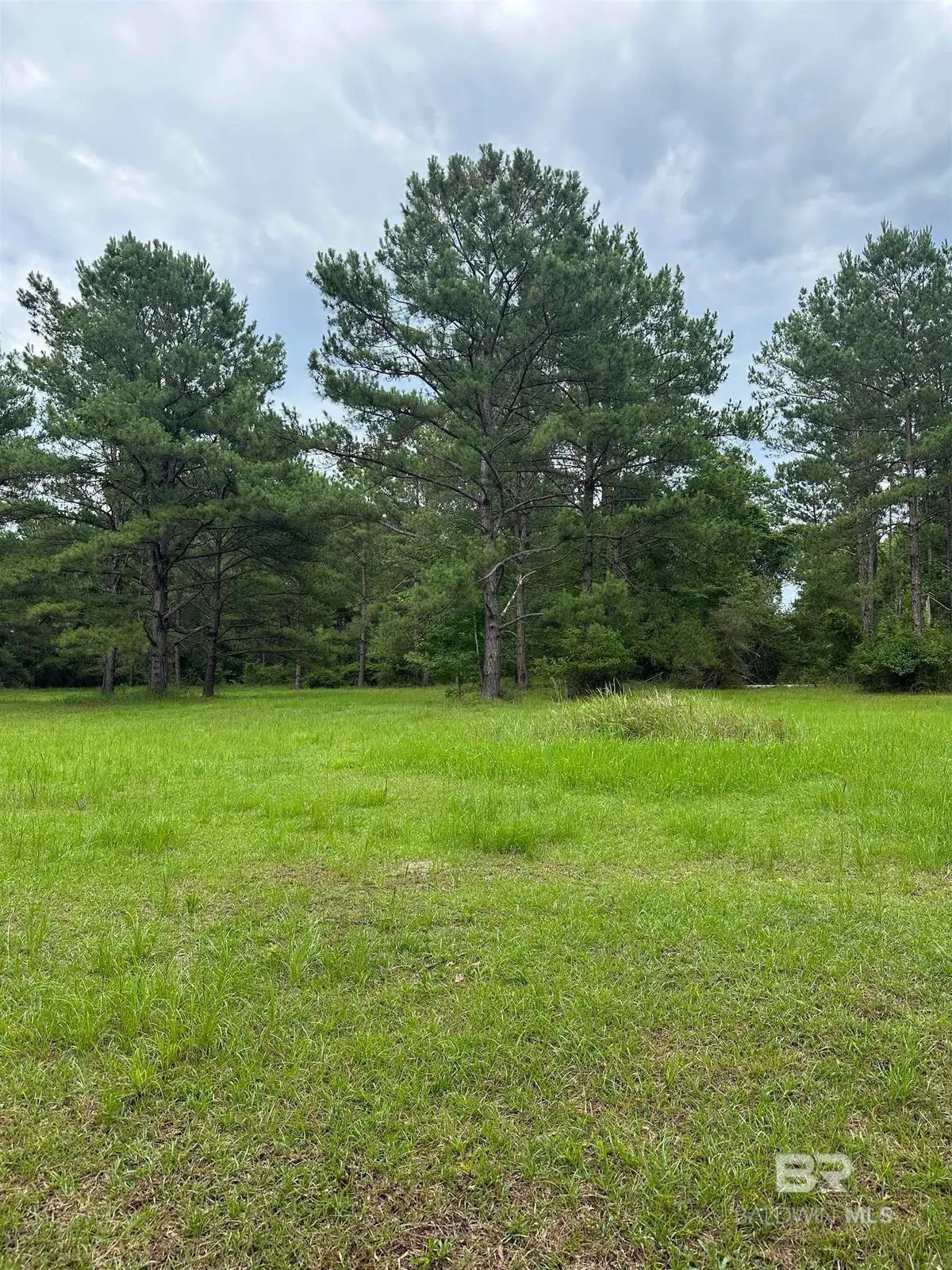 40140 Dogwood Fork Road, Bay Minette, AL 36507 - #1