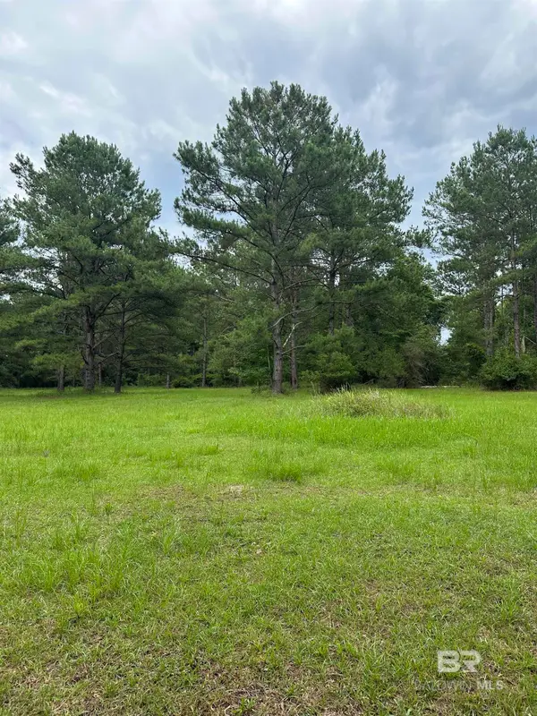 40140 Dogwood Fork Road, Bay Minette, AL 36507