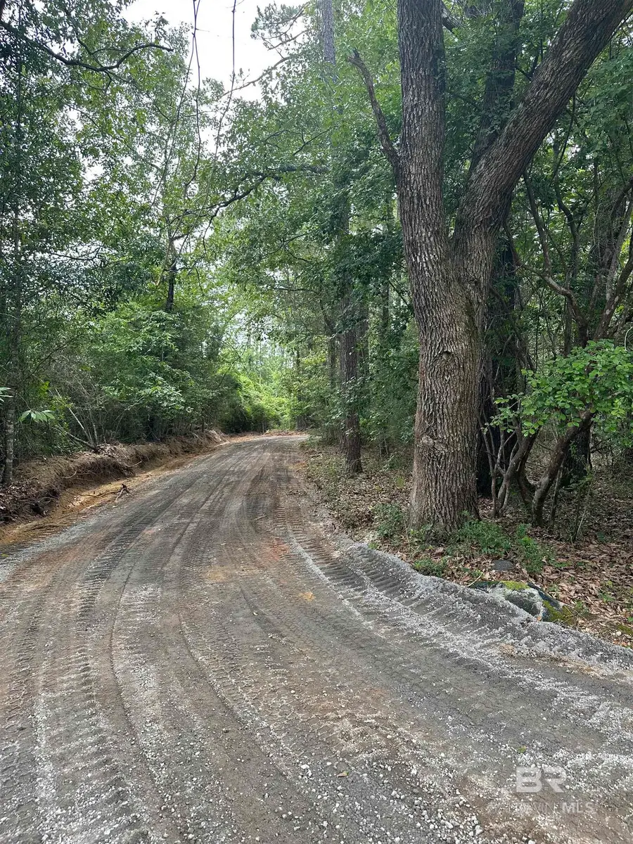 40140 Dogwood Fork Road, Bay Minette, AL 36507 - #2
