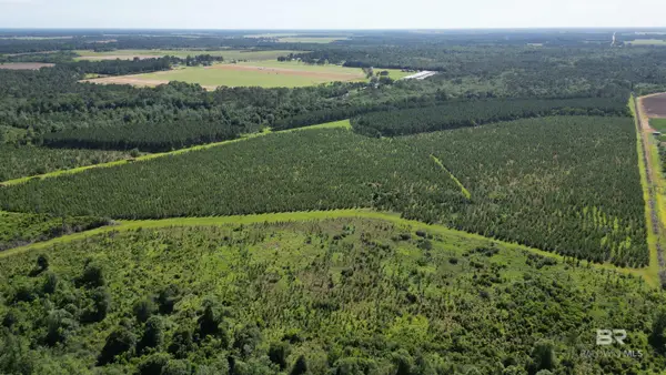 0 County Road 87, Elberta, AL 36530