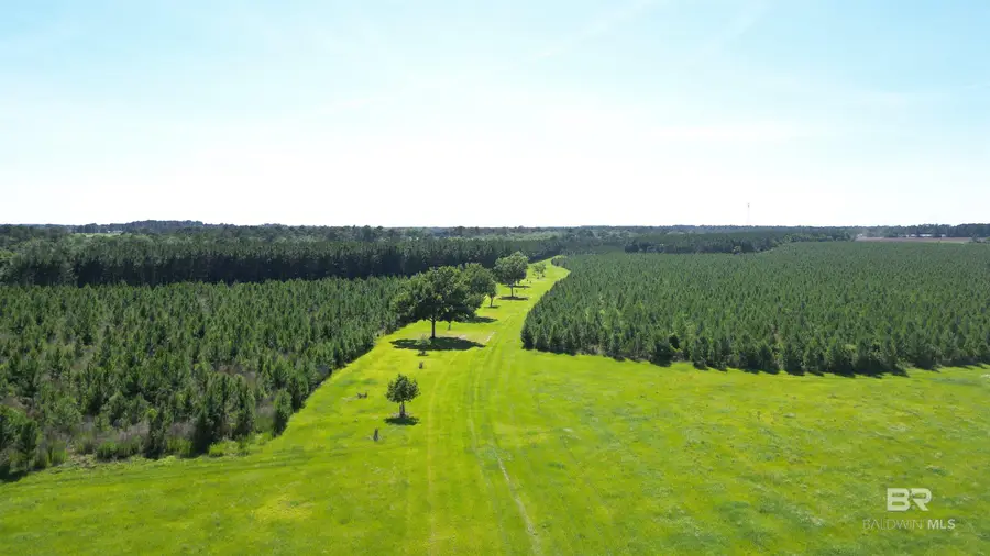 0 County Road 87, Elberta, AL 36530 - #2