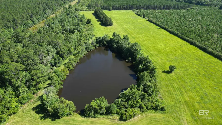 0 County Road 87, Elberta, AL 36530 - #3