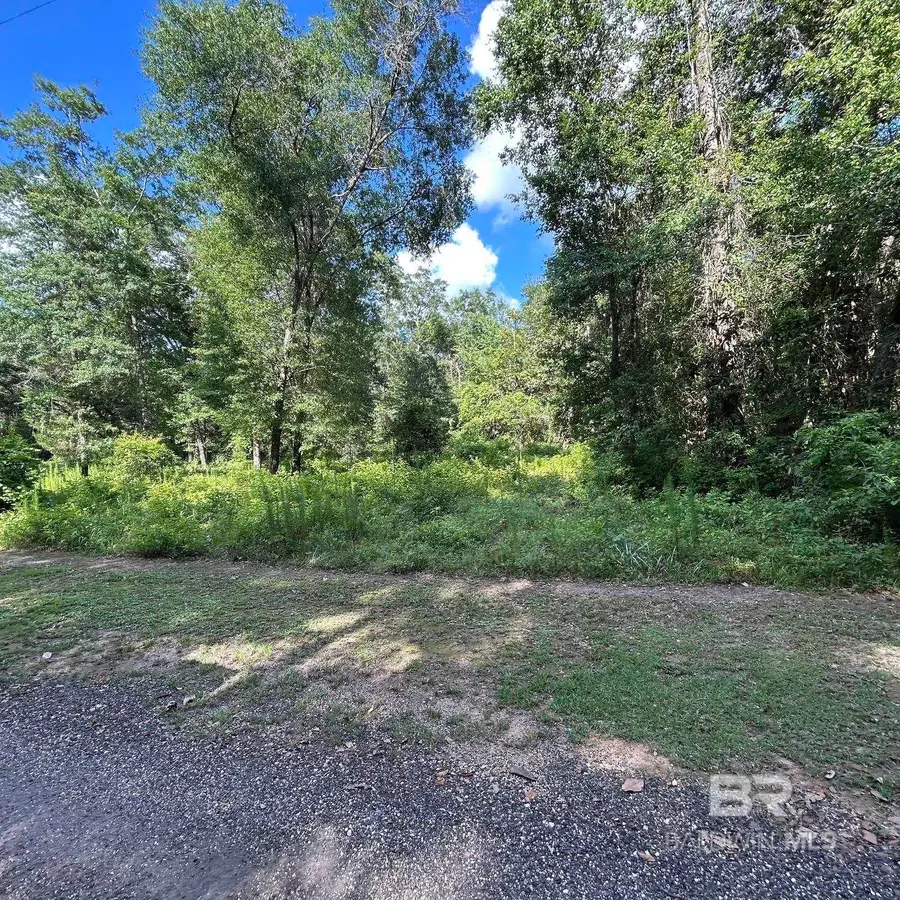0 Buckin Lane, Silverhill, AL 36576 - #2