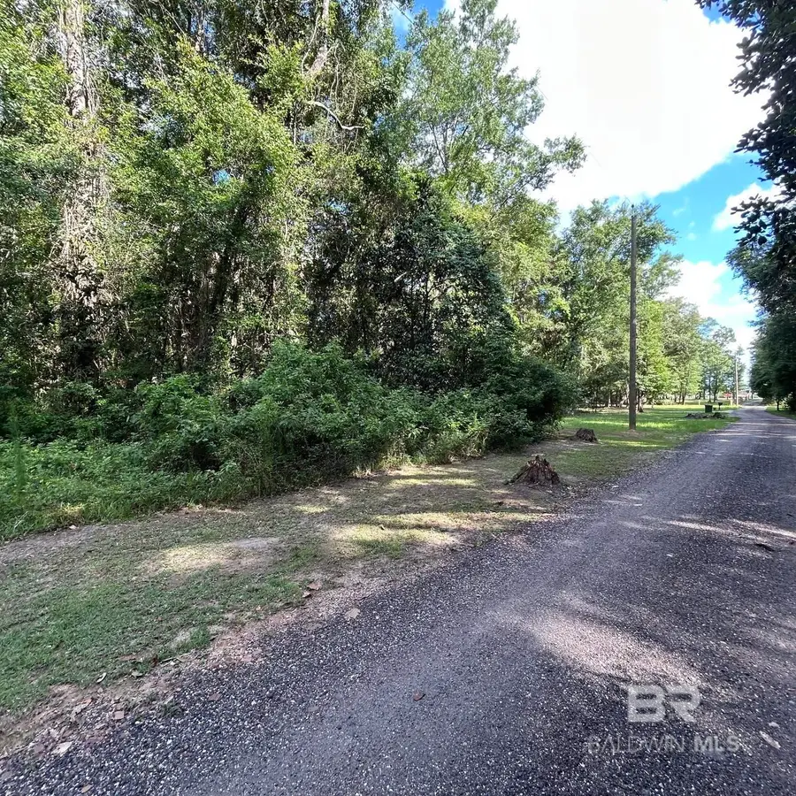 0 Buckin Lane, Silverhill, AL 36576 - #3