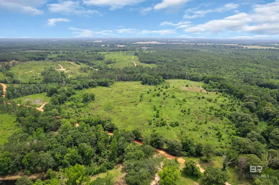 0 Barton Road, Monroeville, AL 36460 - #2