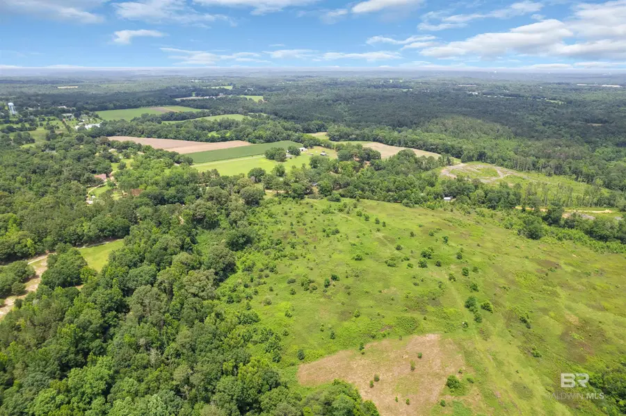 0 Barton Road, Monroeville, AL 36460 - #3