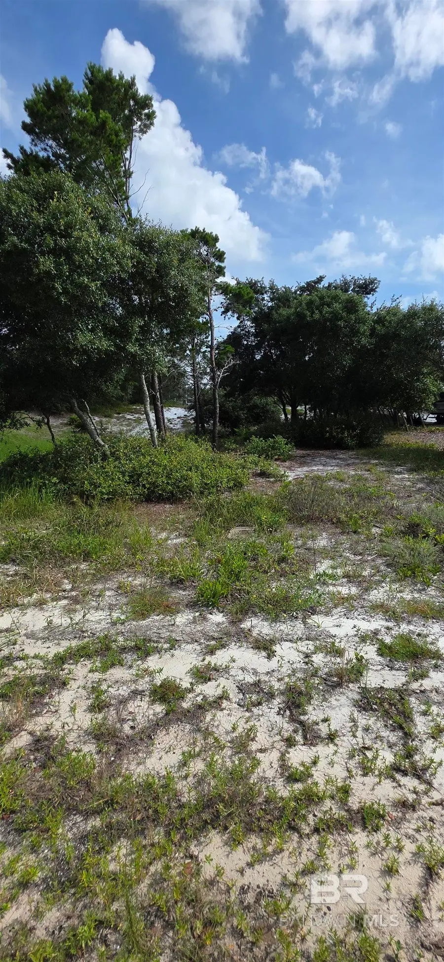 Pine Run Drive, Orange Beach, AL 36561 - #2