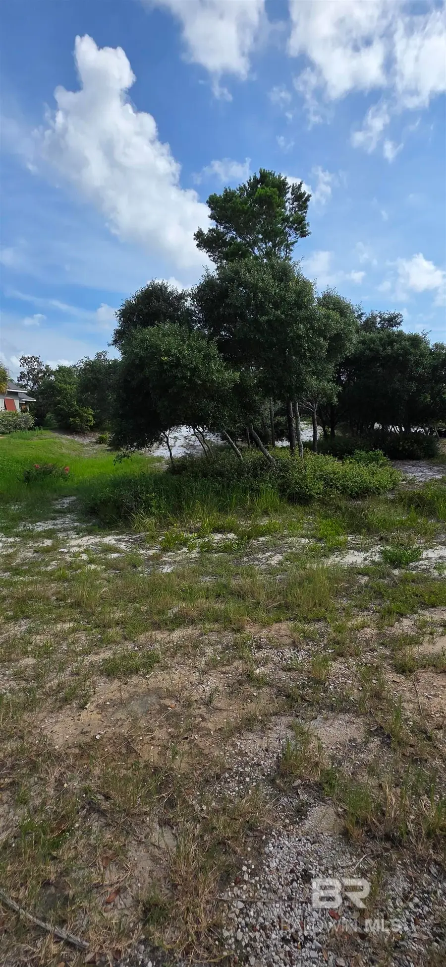 Pine Run Drive, Orange Beach, AL 36561 - #3