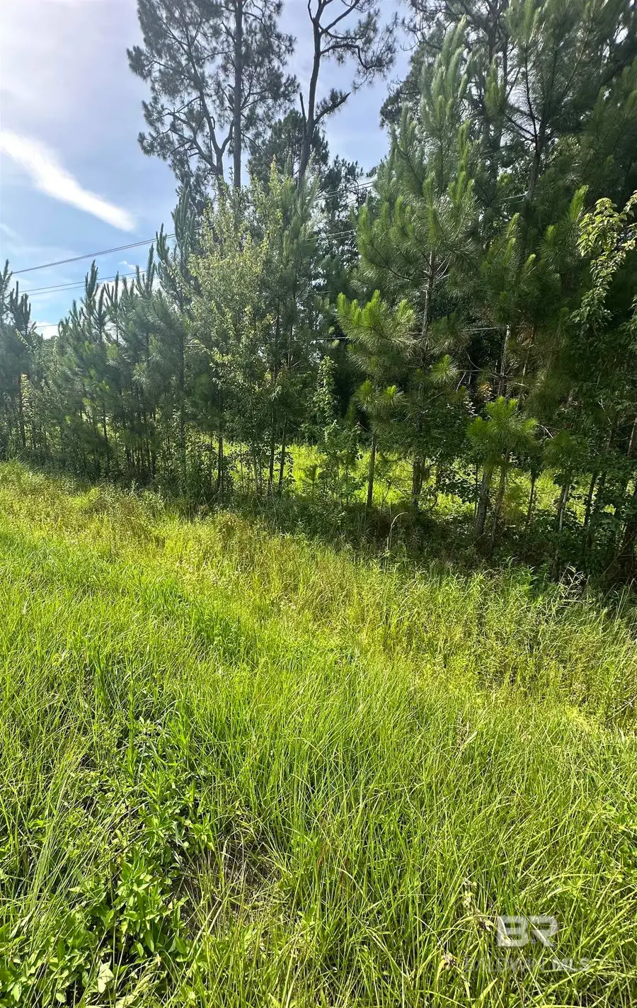 0 Us Highway 98, Fairhope, AL 36532 - #3