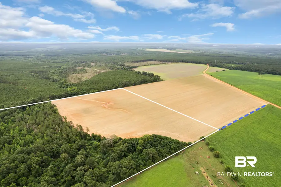 1 Old Stage Road, Repton, AL 36475 - #2