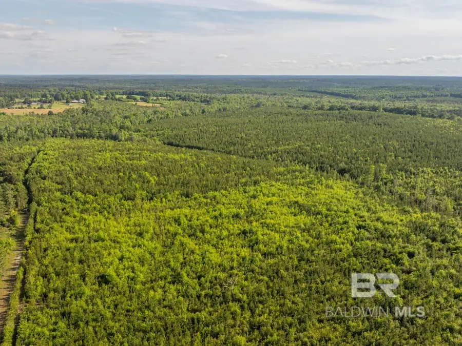 0 Flowers Road, Bay Minette, AL 36507 - #2