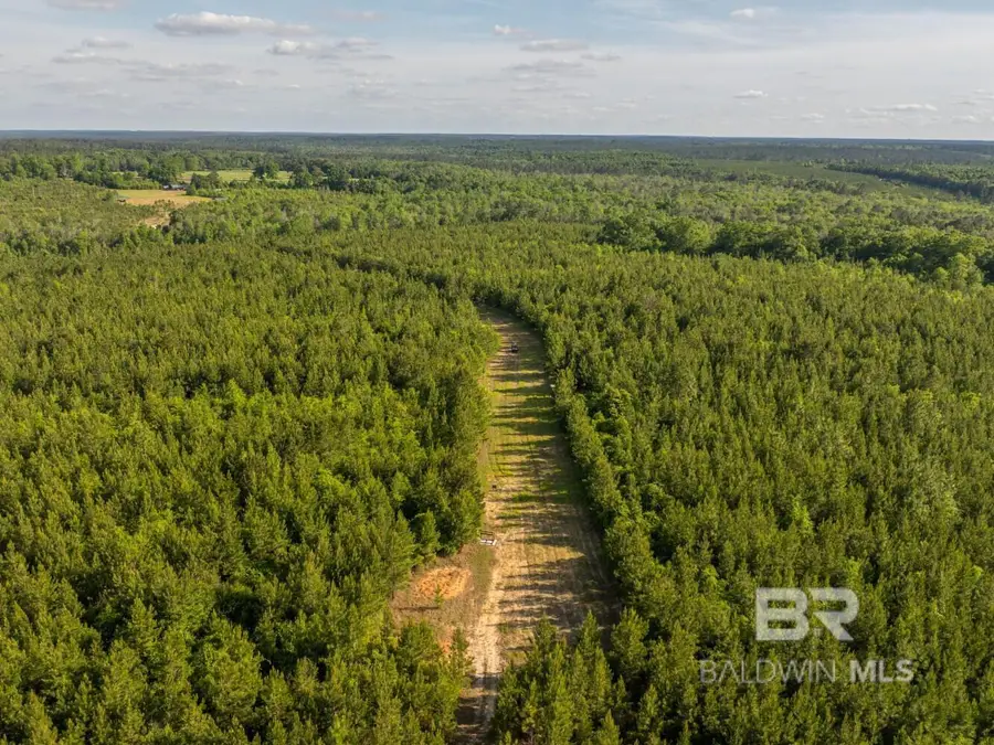 0 Flowers Road, Bay Minette, AL 36507 - #3