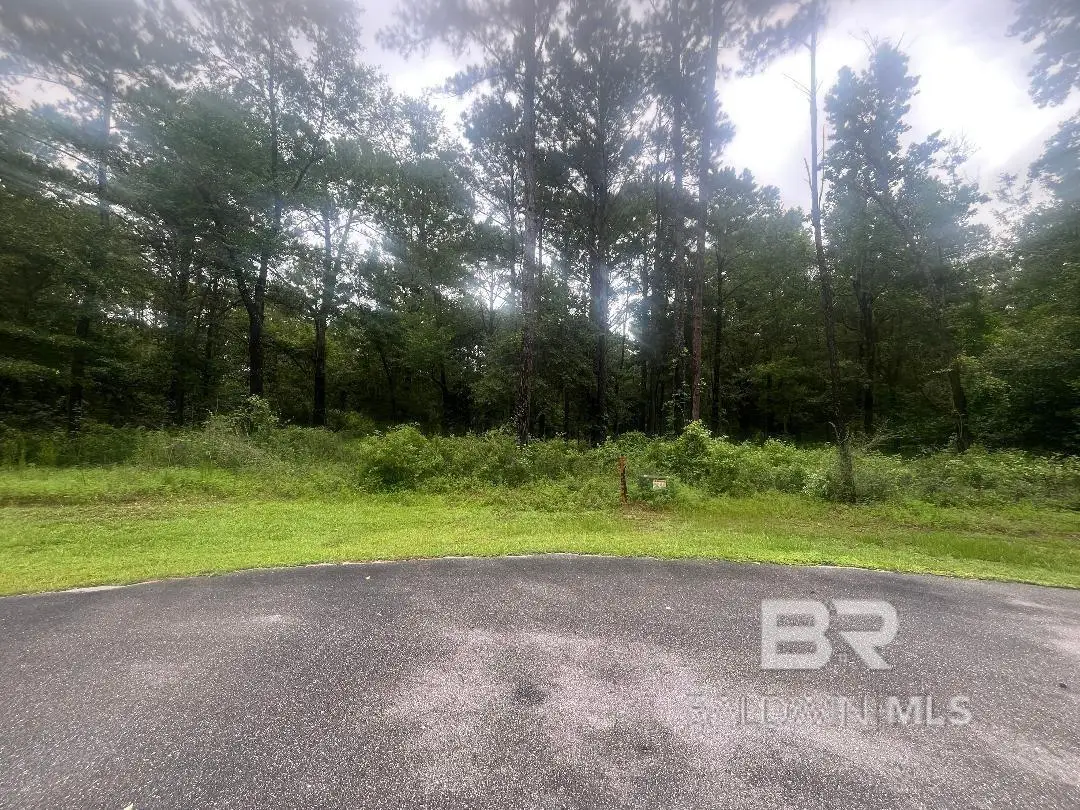 12870 Fish River Road, Foley, AL 36535 - #1
