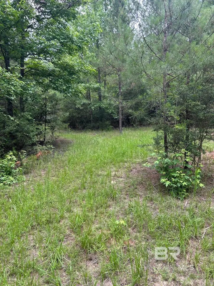 OFF County Road 37, Brewton, AL 36426 - #2