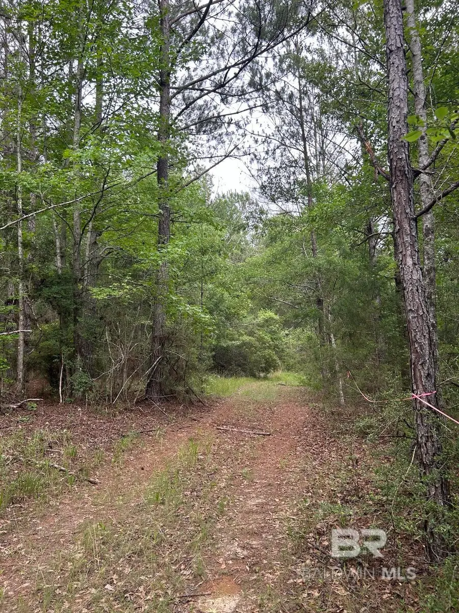 OFF County Road 37, Brewton, AL 36426 - #3