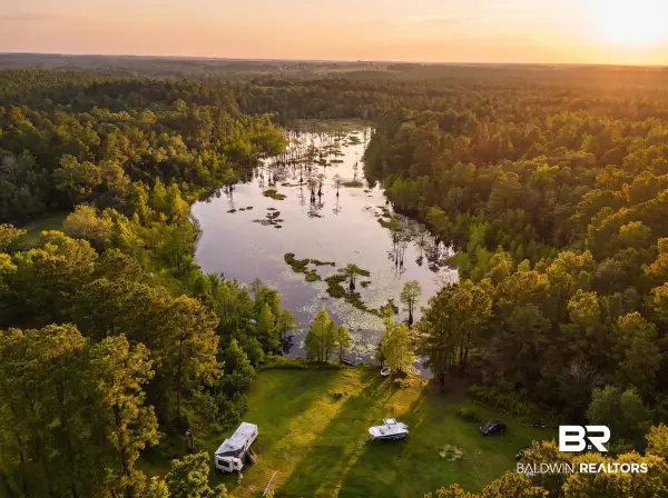 0 Doyle Morgan Road, Samson, AL 36477