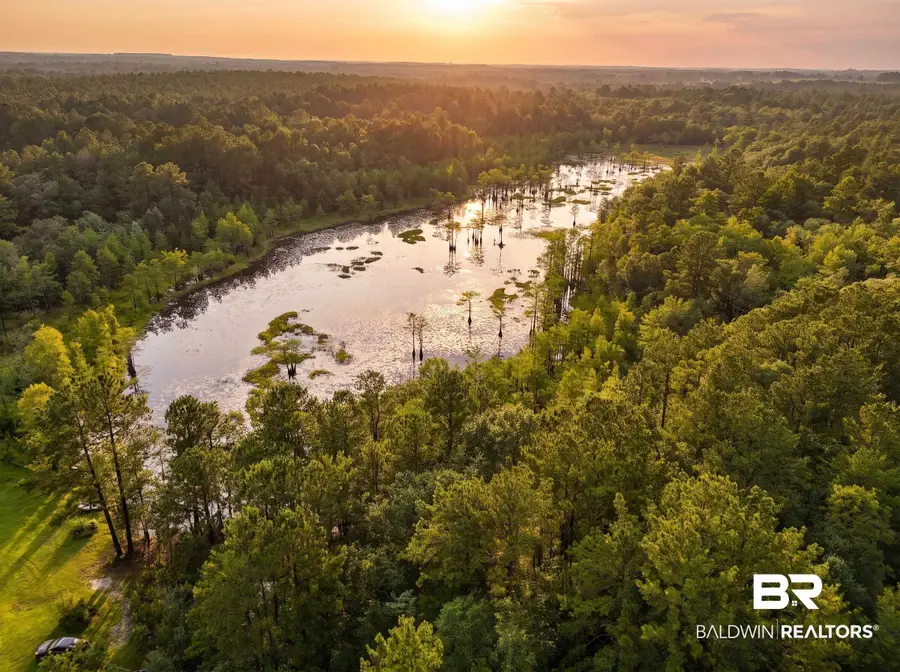 0 Doyle Morgan Road, Samson, AL 36477 - #2