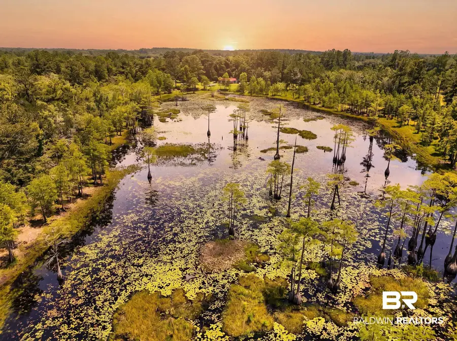 0 Doyle Morgan Road, Samson, AL 36477 - #3