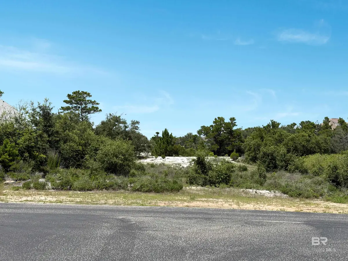 30577 Ono North Loop West, Orange Beach, AL 36561 - #1