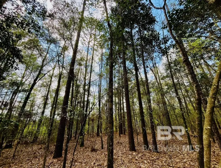 002 Phillipsville Road, Bay Minette, AL 36507 - #3