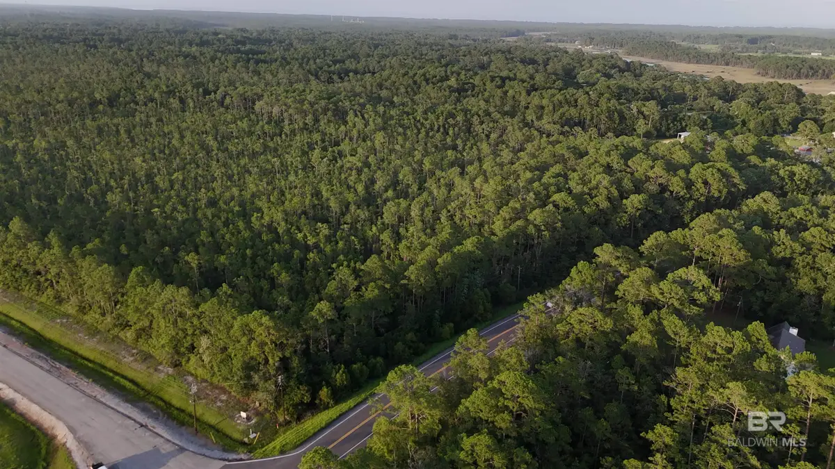 00 Highway 188, Coden, AL 36523 - #1