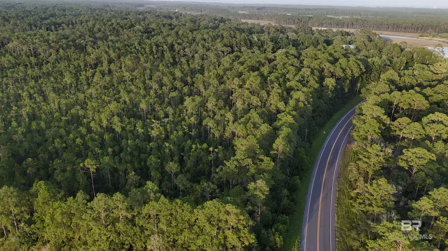 00 Highway 188, Coden, AL 36523 - #2
