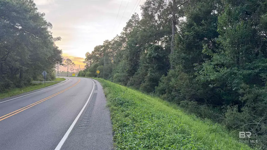 00 Highway 188, Coden, AL 36523 - #3
