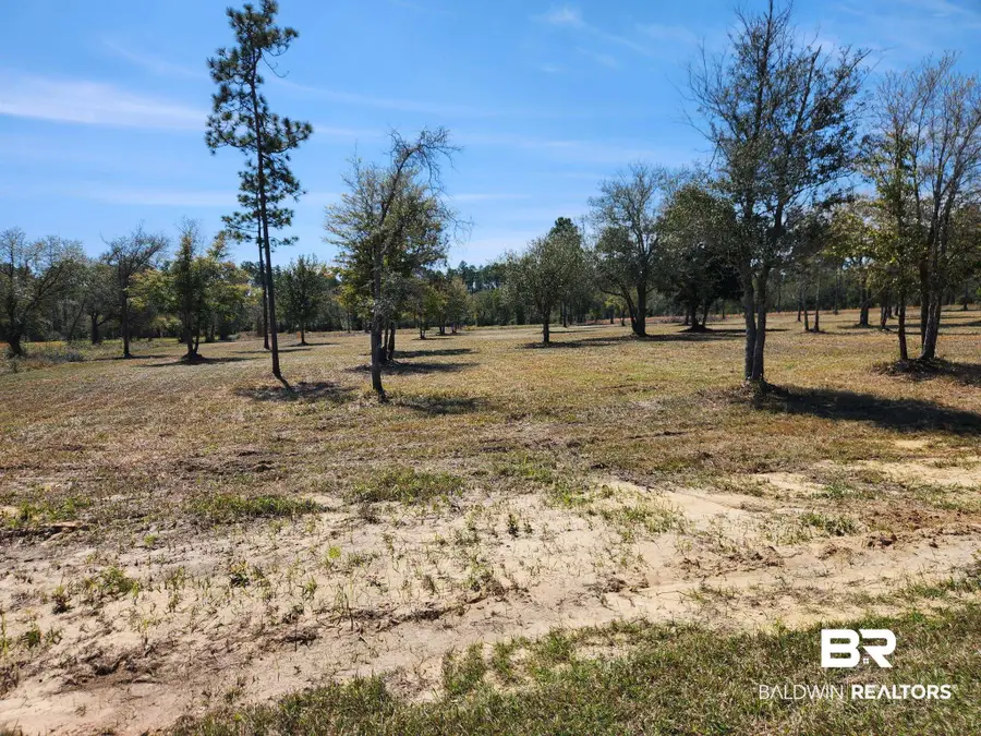 0 Strasbourg Lane, Elberta, AL 36560 - #2
