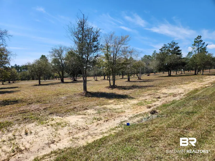 0 Strasbourg Lane, Elberta, AL 36560 - #3