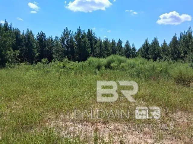 0000 Linholm Road, Robertsdale, AL 36567 - #1