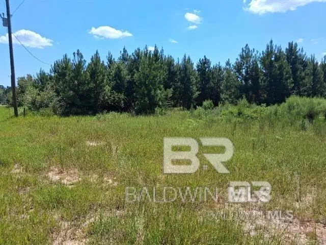 0000 Linholm Road, Robertsdale, AL 36567 - #2