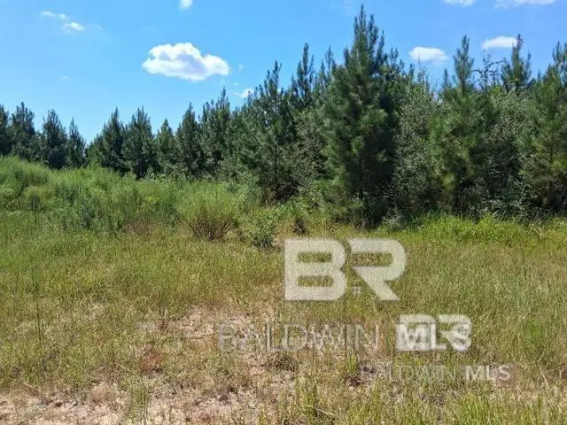 0000 Linholm Road, Robertsdale, AL 36567 - #3