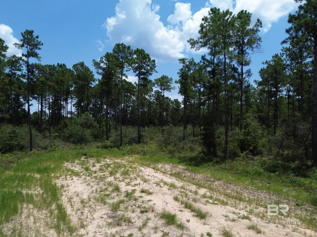 00 Kings Landing Road, Seminole, AL 36574 - #1