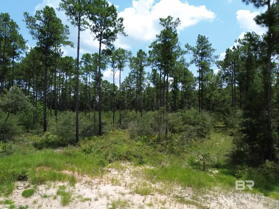 00 Kings Landing Road, Seminole, AL 36574 - #2