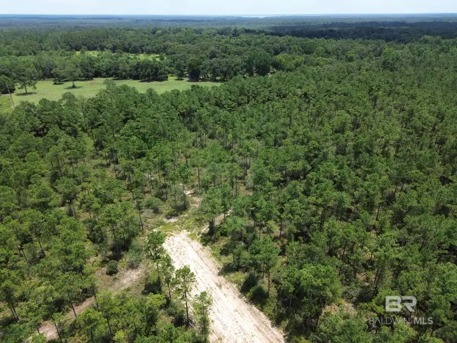 00 Kings Landing Road, Seminole, AL 36574 - #3