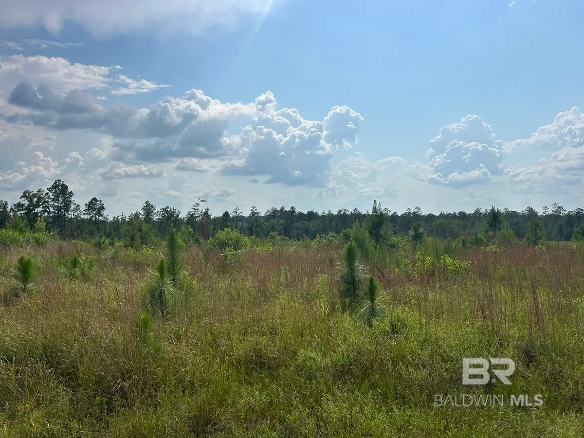 0 Bradley Road, Brewton, AL 36426 - #1