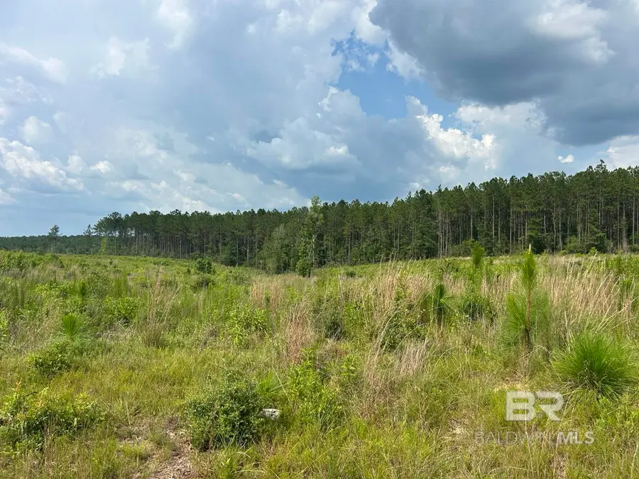 0 Bradley Road, Brewton, AL 36426 - #2