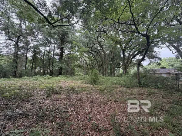 0 Highway 225, Spanish Fort, AL 36527