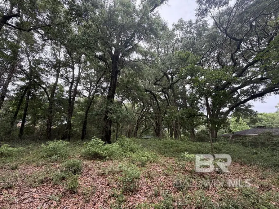 0 Highway 225, Spanish Fort, AL 36527 - #2