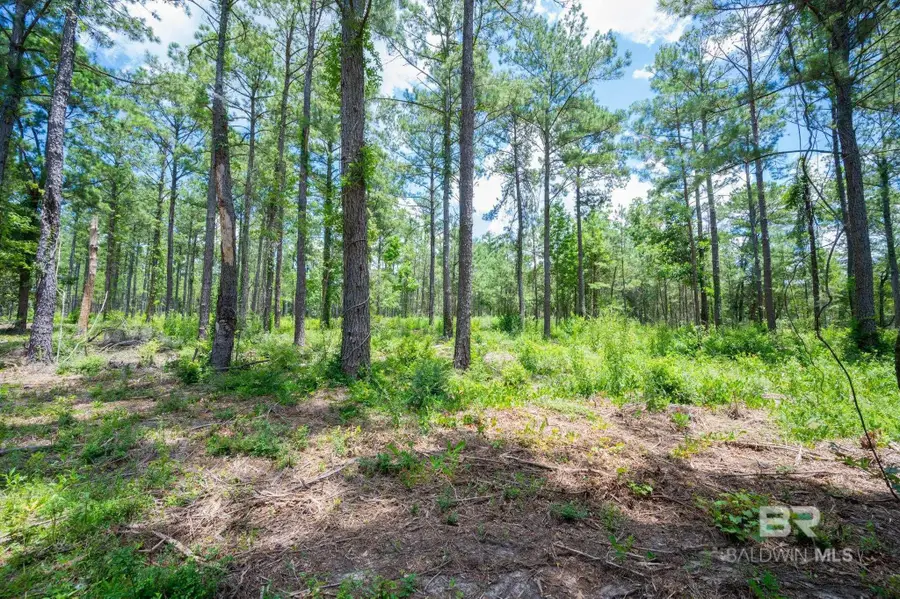 0 Hurricane Road, Bay Minette, AL 36507 - #2