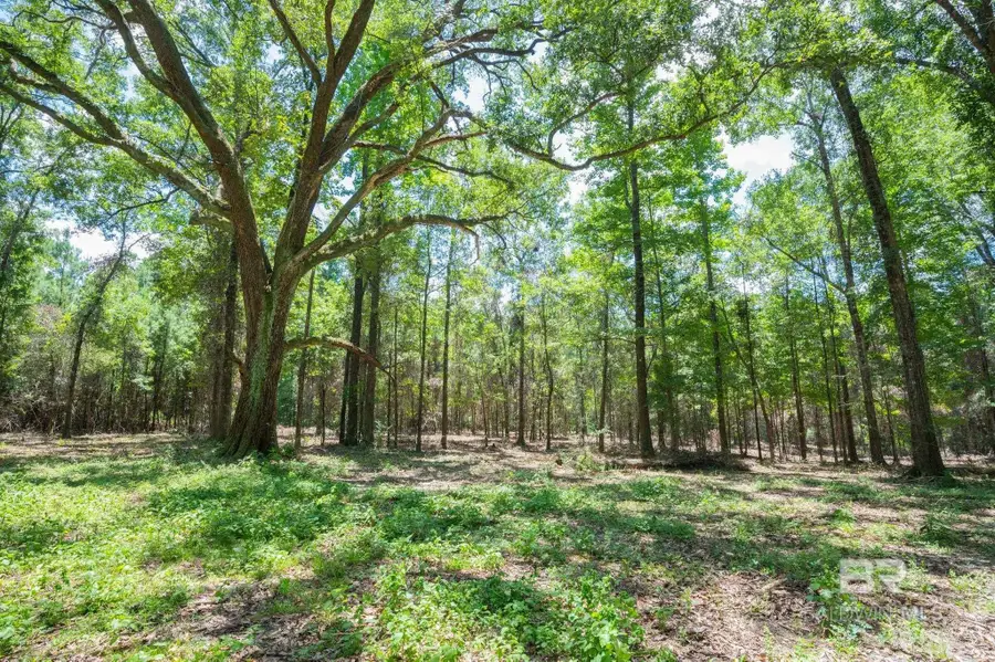 0 Hurricane Road, Bay Minette, AL 36507 - #3