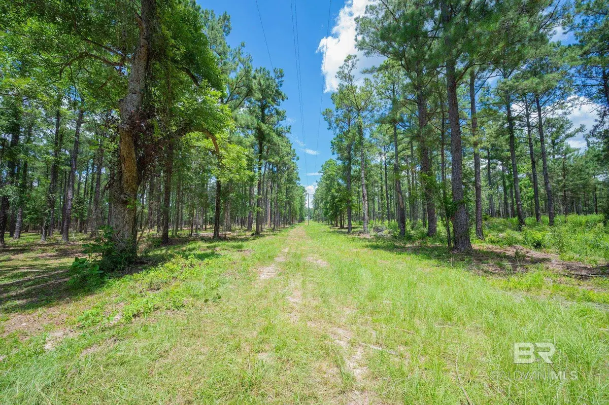 0 County Road 86, Bay Minette, AL 36507 - #1