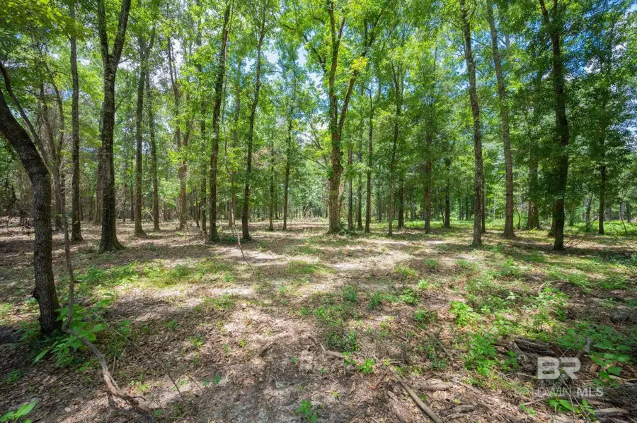 0 County Road 86, Bay Minette, AL 36507 - #2