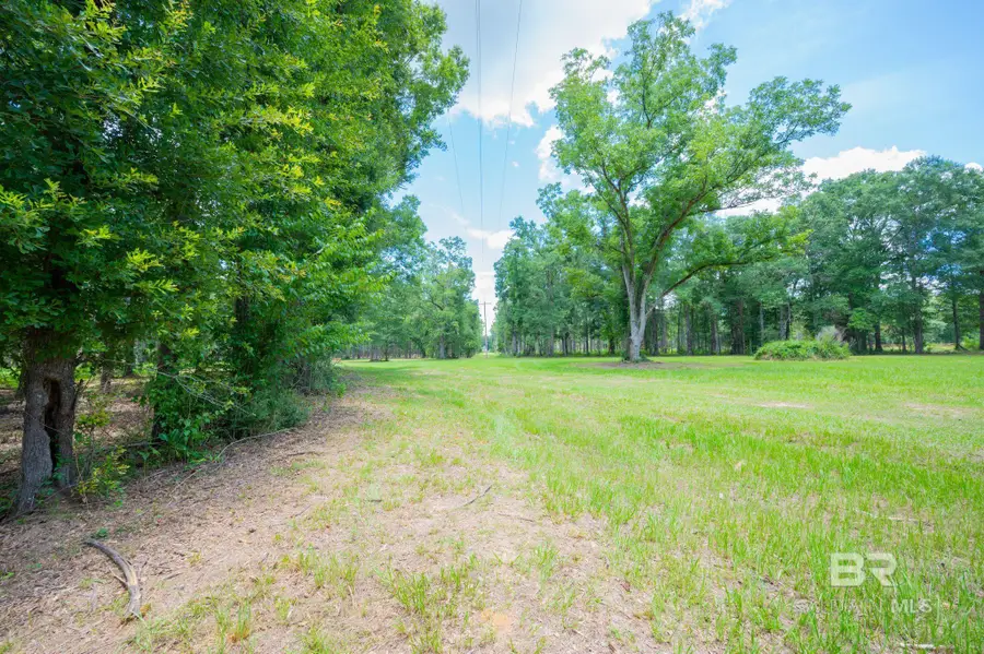 0 County Road 86, Bay Minette, AL 36507 - #3